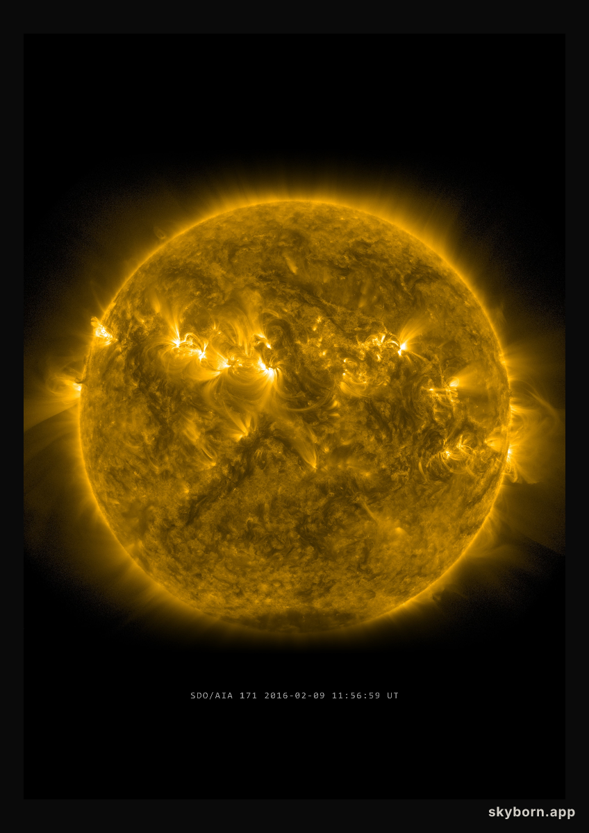 The Sun on 9 February 2016