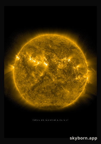 The Sun on 9 February 2016