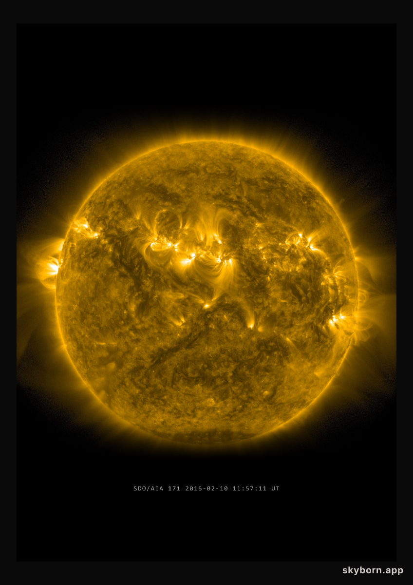 The Sun on 10 February 2016