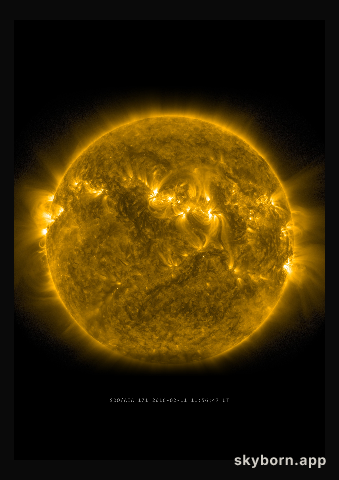 The Sun on 11 February 2016