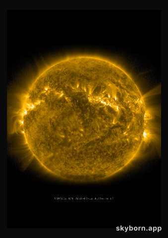 The Sun on 12 February 2016