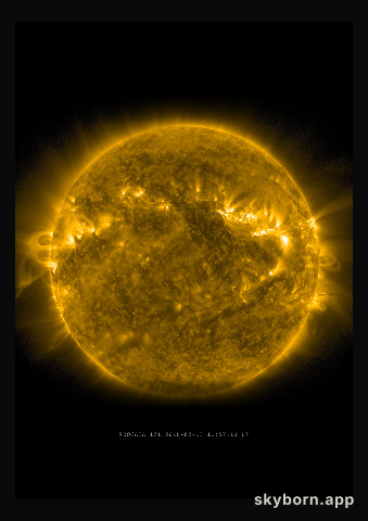 The Sun on 13 February 2016