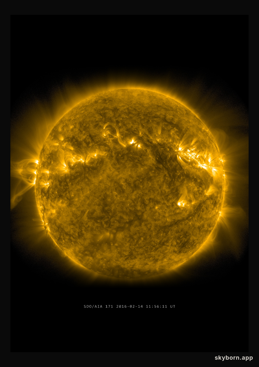 The Sun on 14 February 2016
