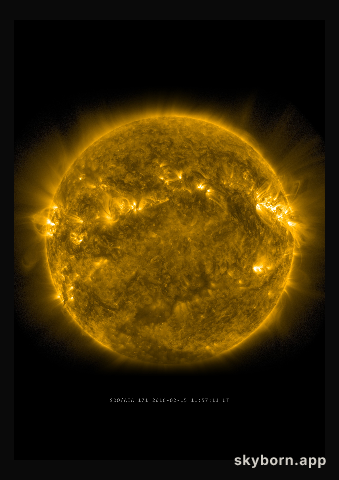 The Sun on 15 February 2016