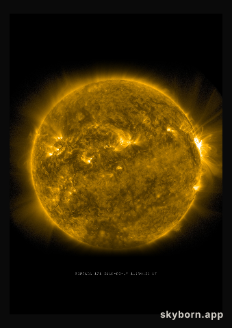 The Sun on 17 February 2016