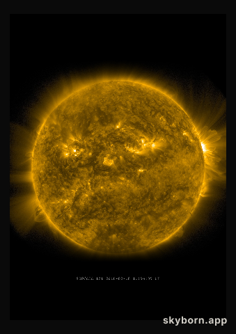 The Sun on 18 February 2016