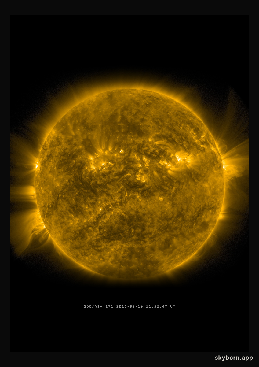 The Sun on 19 February 2016