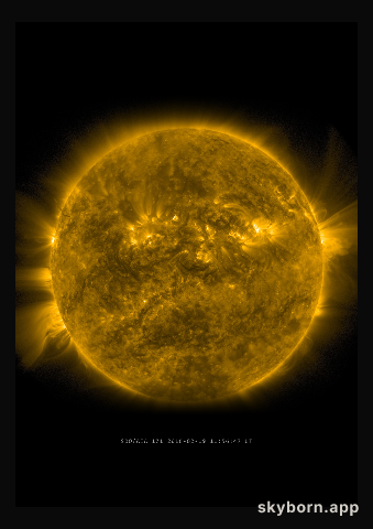 The Sun on 19 February 2016