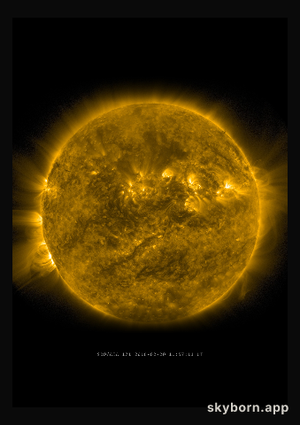 The Sun on 20 February 2016