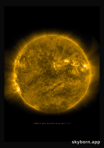 The Sun on 21 February 2016