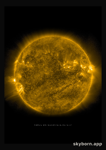 The Sun on 22 February 2016