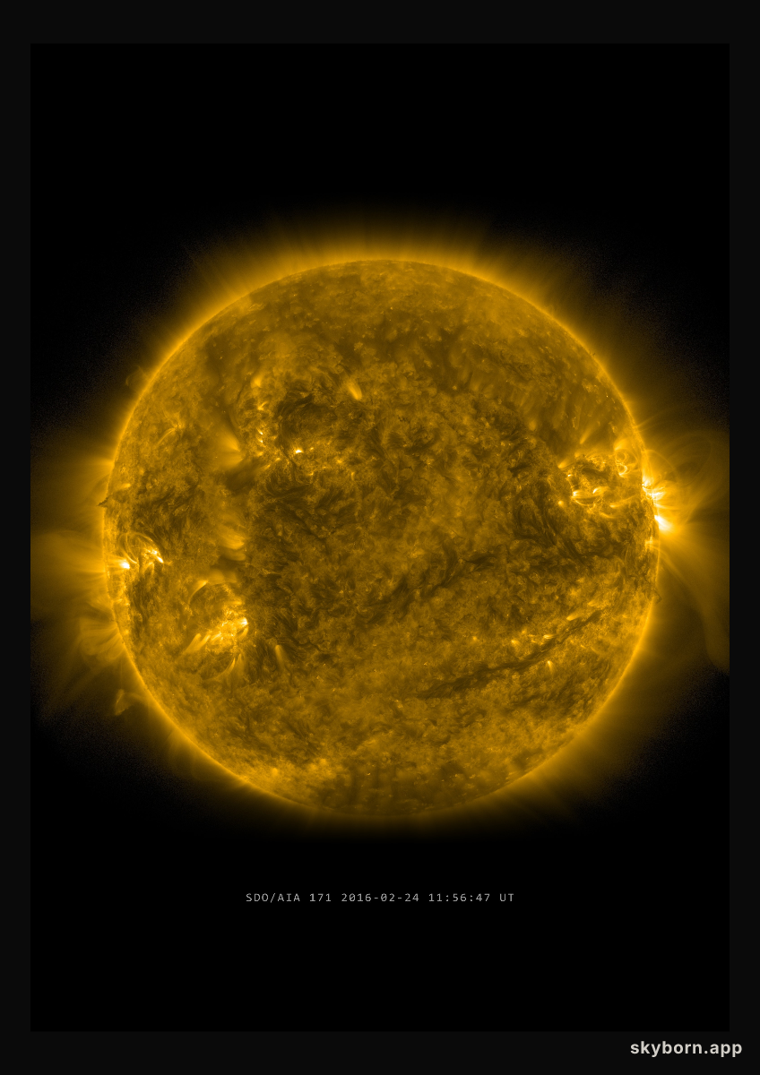 The Sun on 24 February 2016