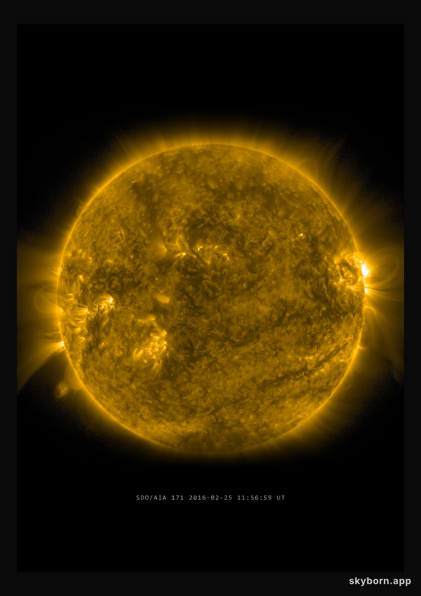 The Sun on 25 February 2016