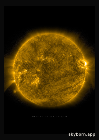 The Sun on 25 February 2016