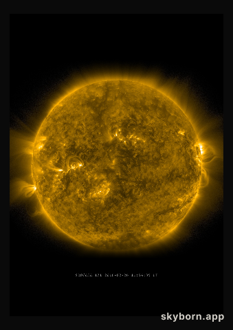 The Sun on 26 February 2016