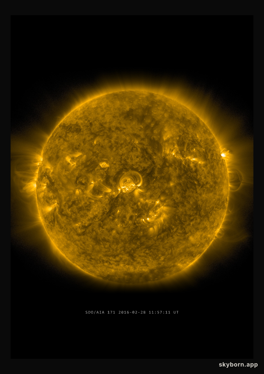 The Sun on 28 February 2016