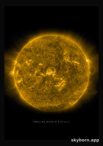 The Sun on 28 February 2016