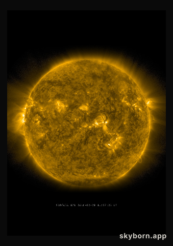 The Sun on 29 February 2016