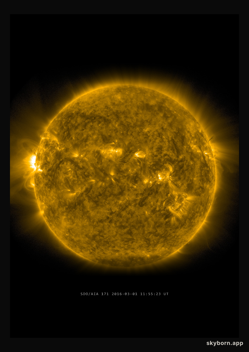 The Sun on 1 March 2016