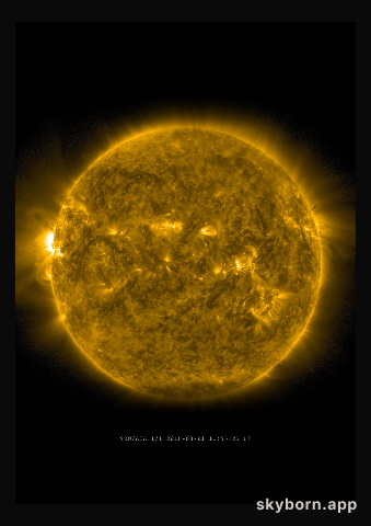 The Sun on 1 March 2016