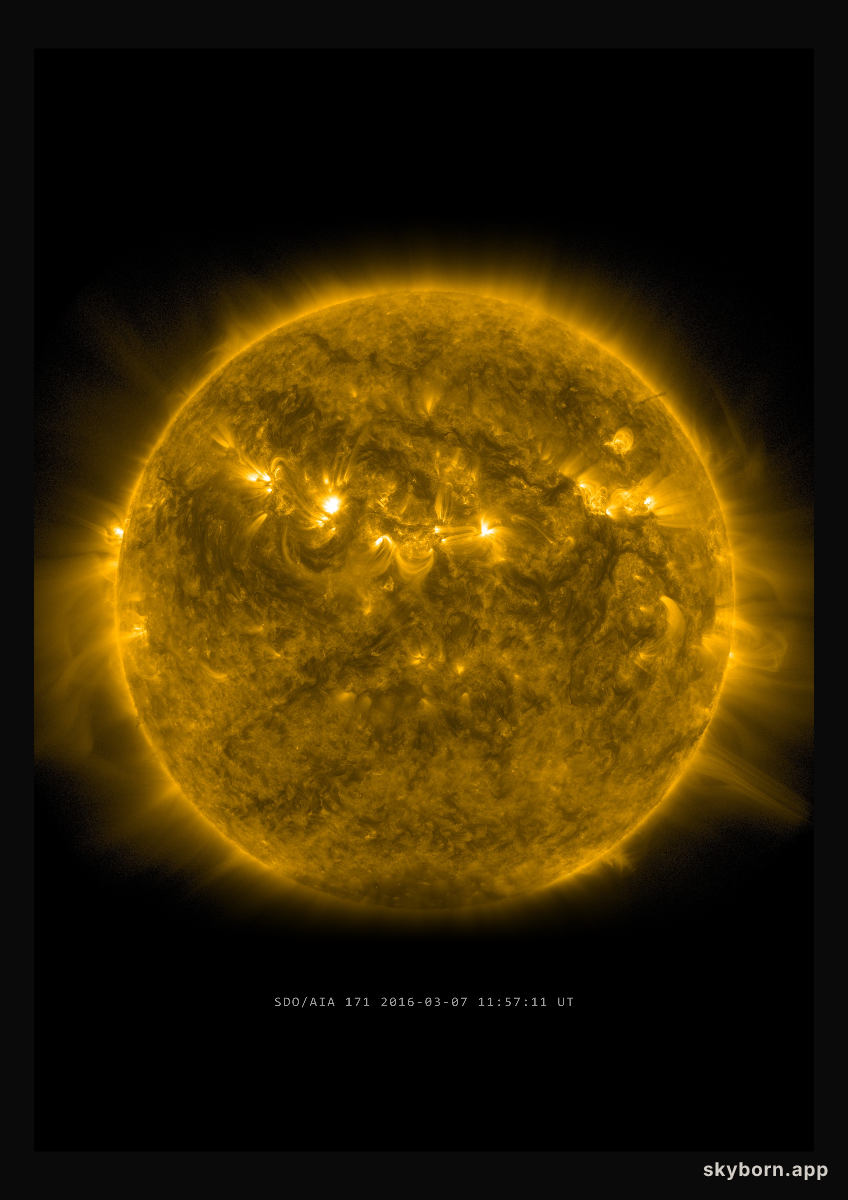 The Sun on 7 March 2016