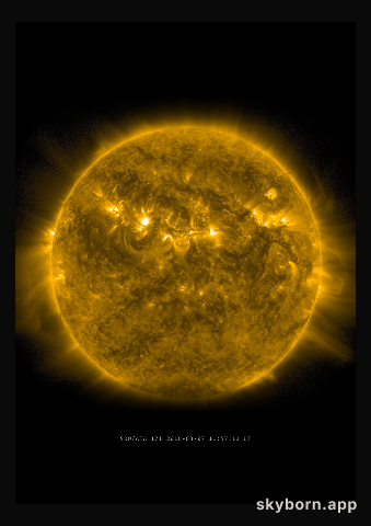 The Sun on 7 March 2016