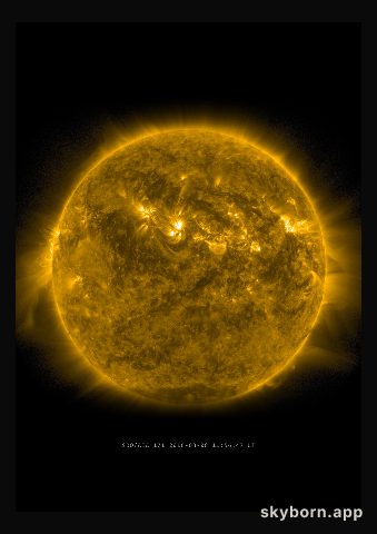The Sun on 8 March 2016