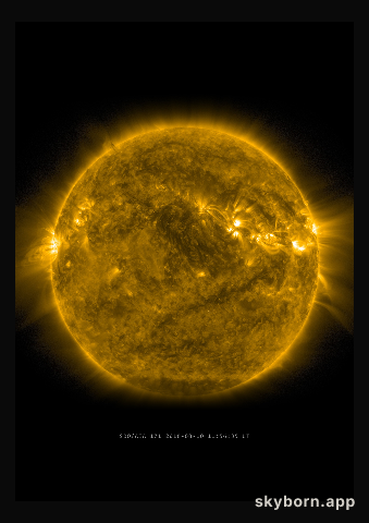 The Sun on 10 March 2016