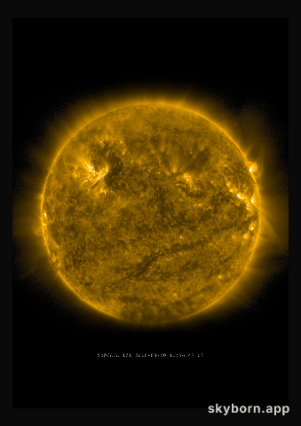 The Sun on 20 March 2016