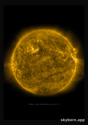 The Sun on 21 March 2016