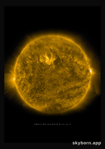 The Sun on 22 March 2016