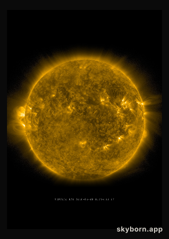 The Sun on 9 June 2016