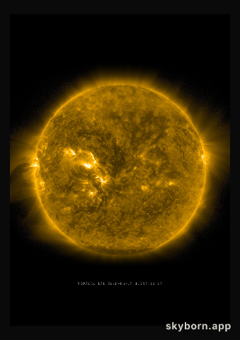 The Sun on 15 June 2016