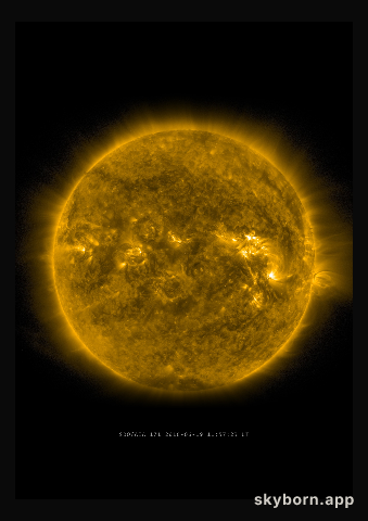 The Sun on 19 June 2016