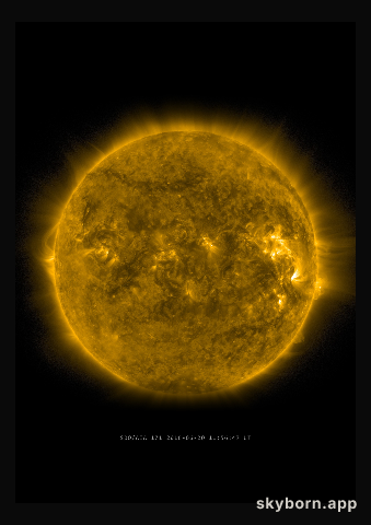 The Sun on 20 June 2016