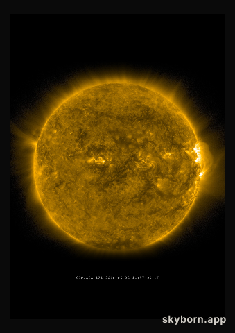 The Sun on 22 June 2016