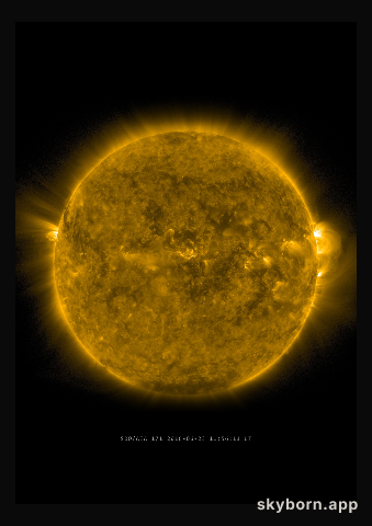 The Sun on 23 June 2016