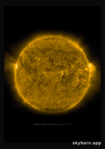 The Sun on 24 June 2016