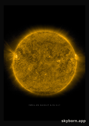 The Sun on 25 June 2016