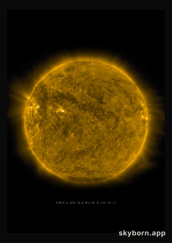 The Sun on 28 June 2016