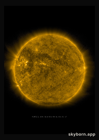 The Sun on 29 June 2016