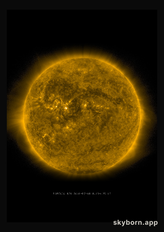 The Sun on 1 July 2016