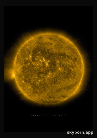 The Sun on 2 July 2016