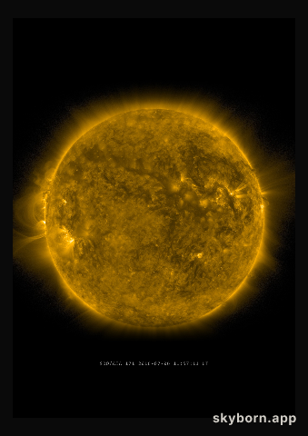 The Sun on 6 July 2016