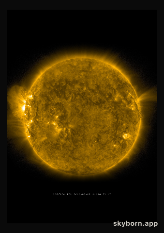 The Sun on 8 July 2016