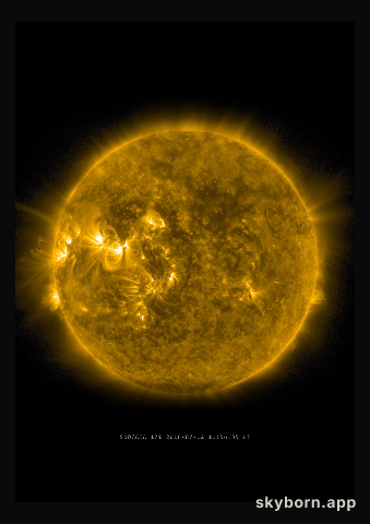 The Sun on 12 July 2016