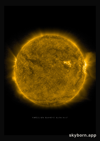The Sun on 23 July 2016