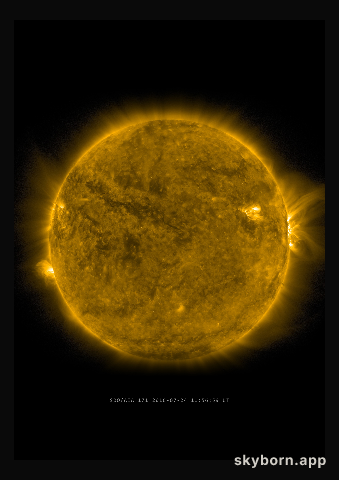 The Sun on 24 July 2016