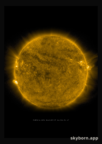 The Sun on 25 July 2016