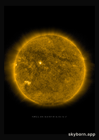 The Sun on 28 July 2016